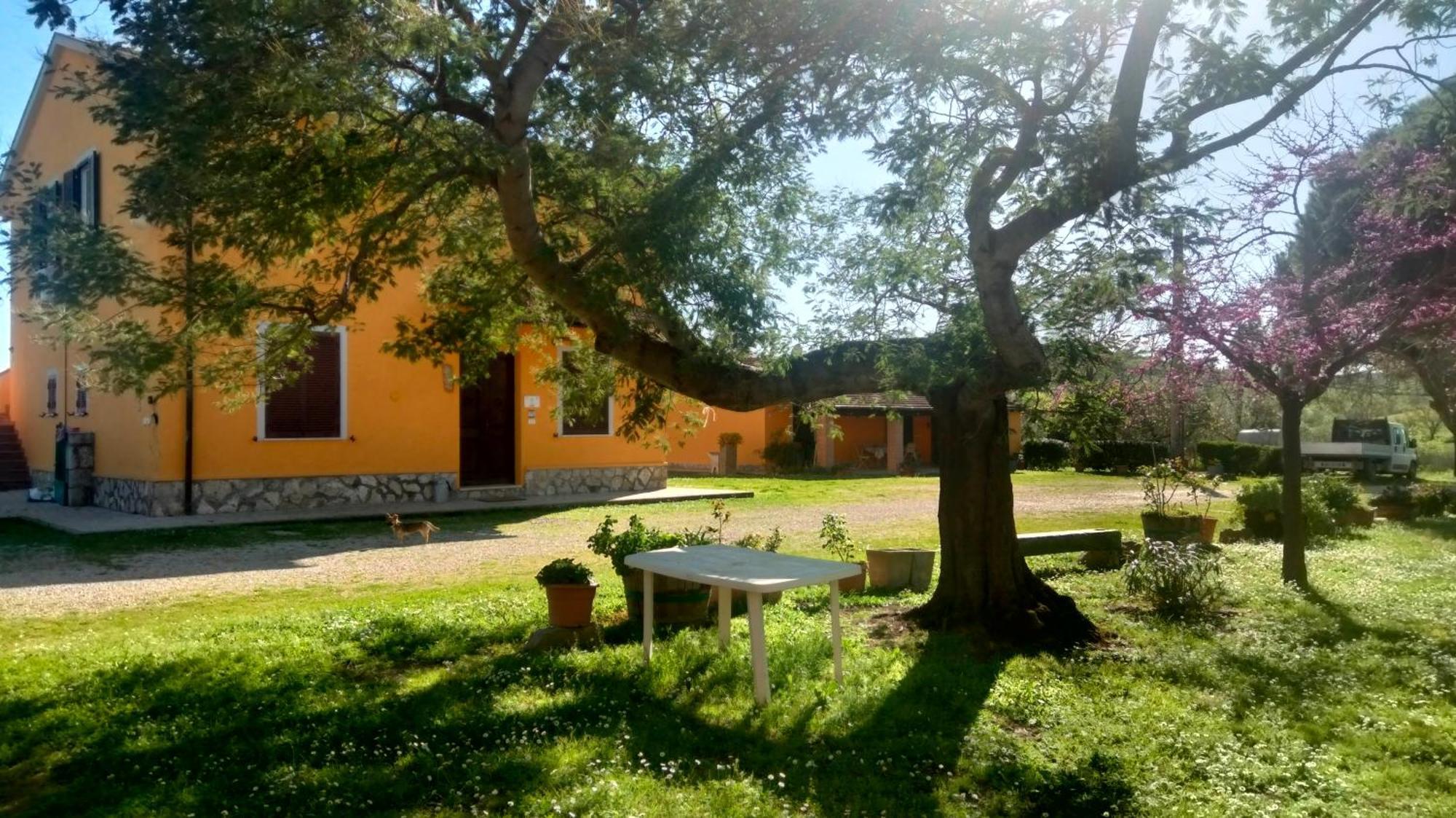 Agriturismo Da Remo Magliano in Toscana Zimmer foto