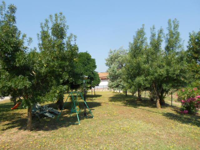 Agriturismo Da Remo Magliano in Toscana Exterior foto