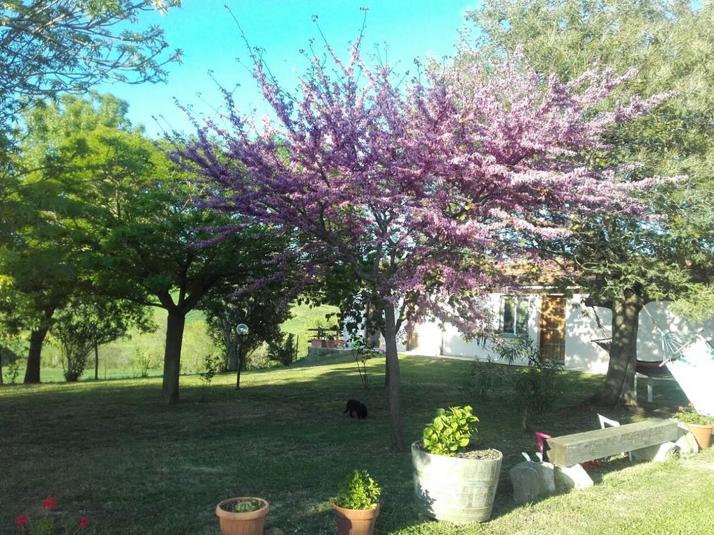 Agriturismo Da Remo Magliano in Toscana Exterior foto