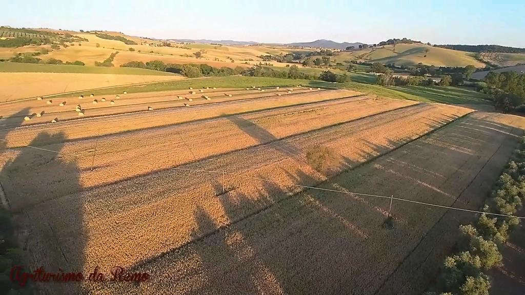 Agriturismo Da Remo Magliano in Toscana Exterior foto