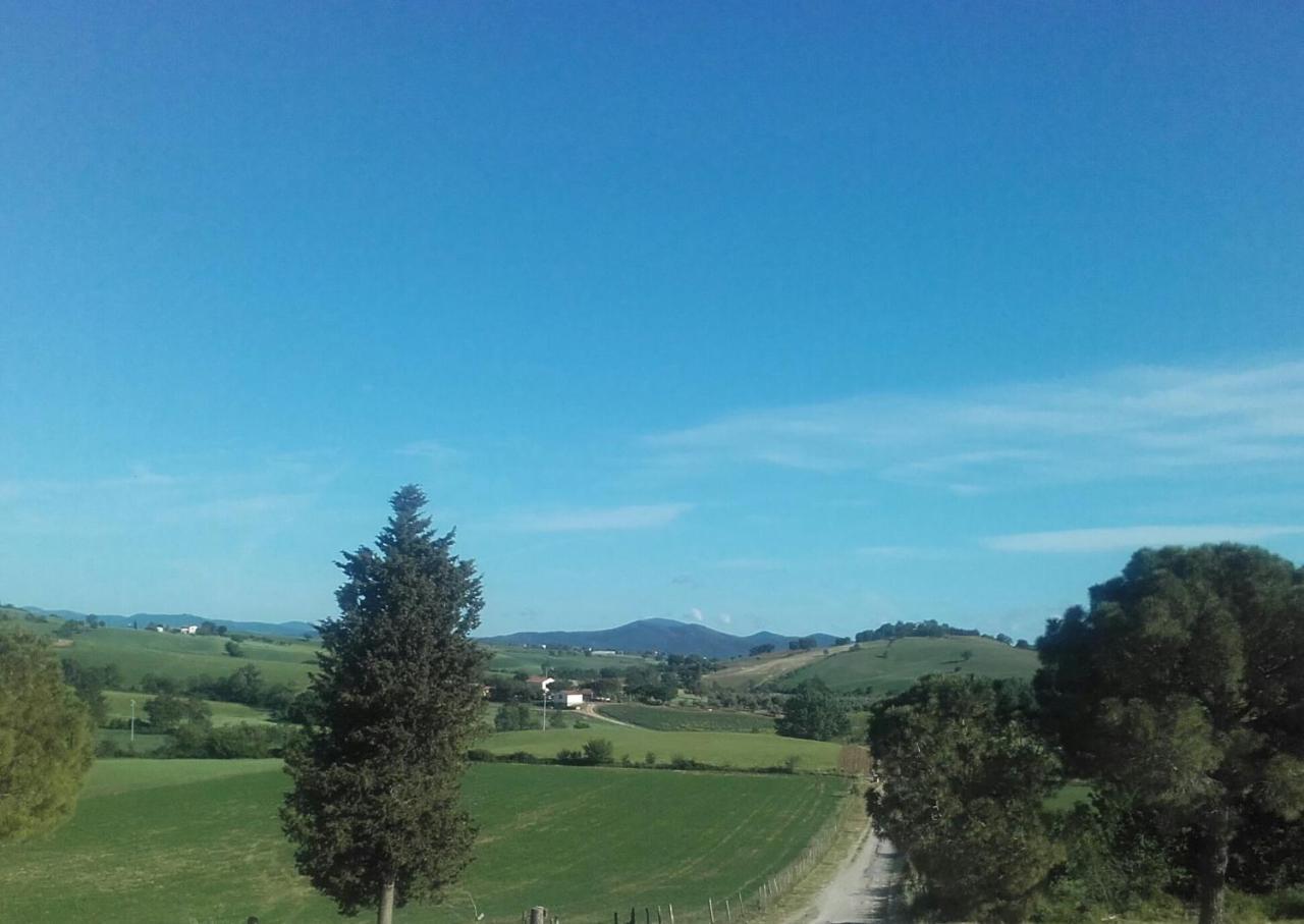 Agriturismo Da Remo Magliano in Toscana Exterior foto